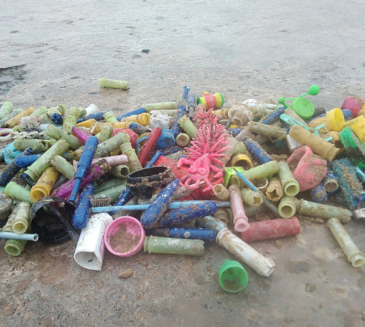 Single-use plastic period products found on beaches